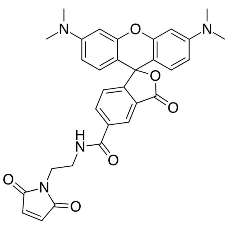 TAMRA maleimide,5-isomer，5-TAMRA-mal